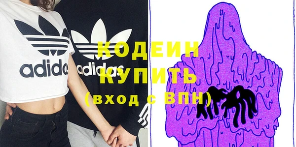 мет Няндома