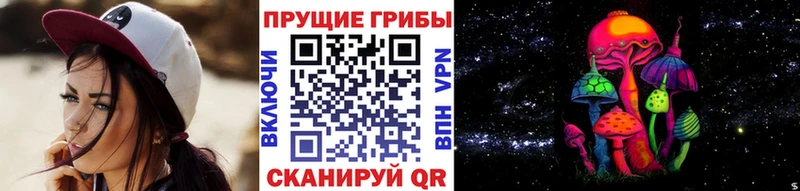 блэк спрут ТОР  Рославль  Галлюциногенные грибы Magic Shrooms 